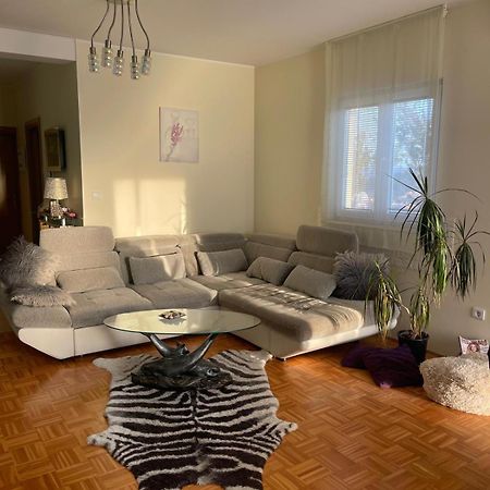 Apartment Nano 希贝尼克 外观 照片